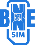 BNESIM